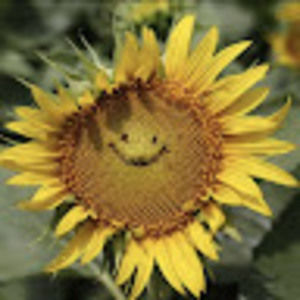 Meet your Posher, Lynn forster